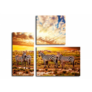 Модульная картина Африканские зебры